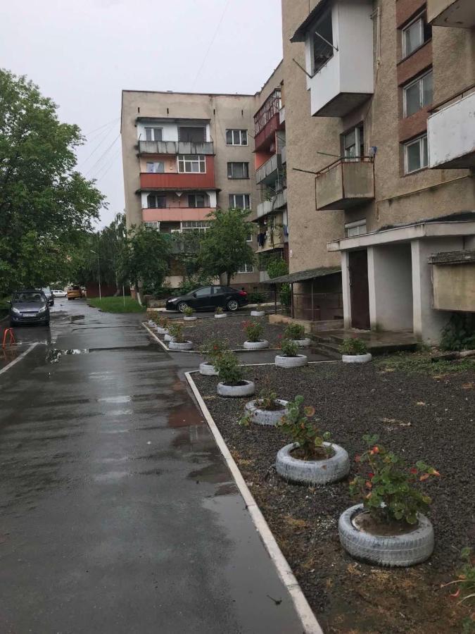 Однокімнатна Дизайнерська Квартира Поруч З Термальними Водами Berehove  Buitenkant foto